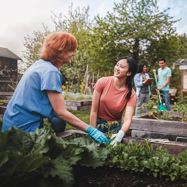 People planting and enjoying conversation